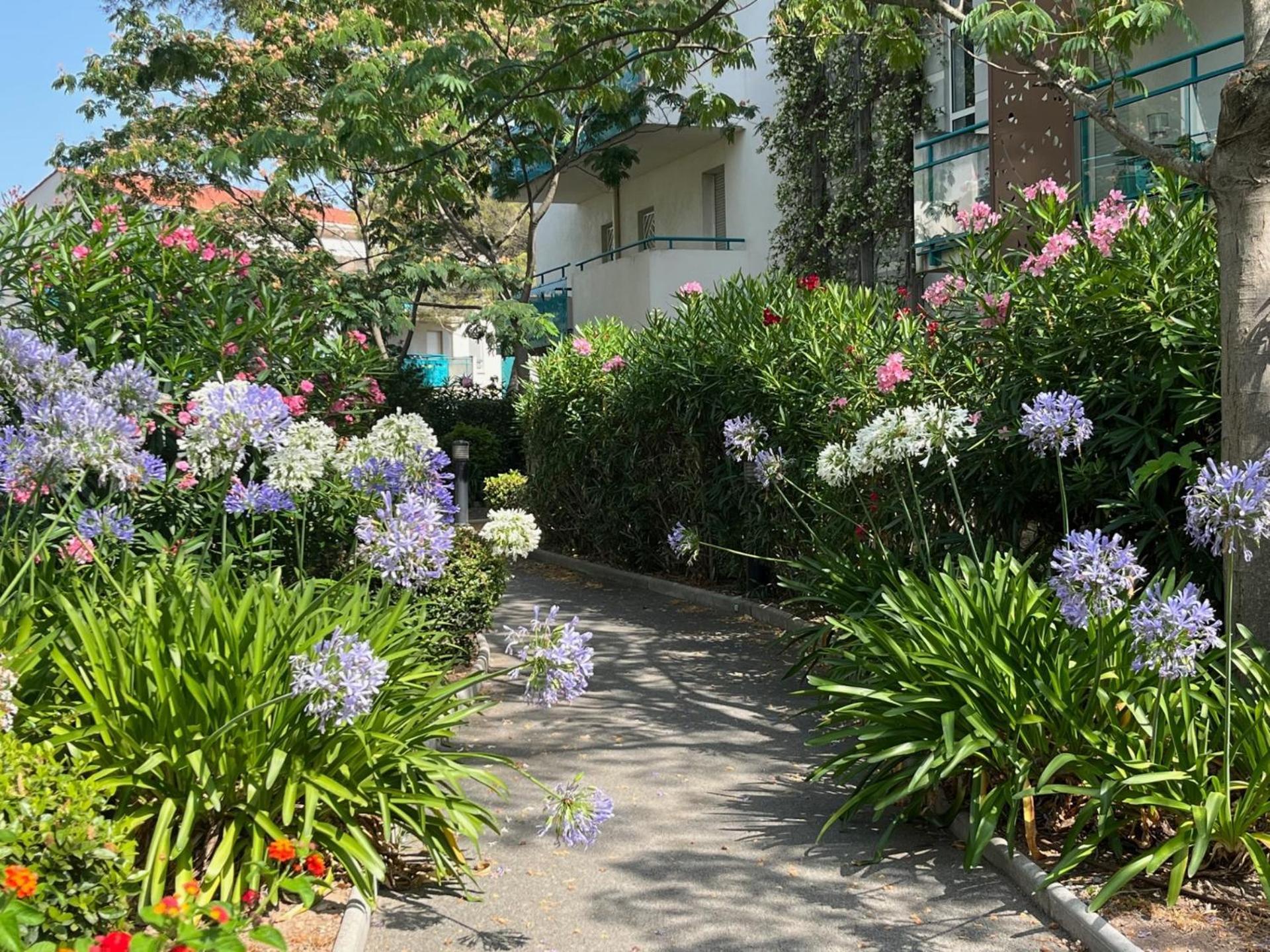 Saint-Raphael, Boulouris, F2 Dans Belle Residence 3 Piscines, Proche Bord De Mer Exterior foto